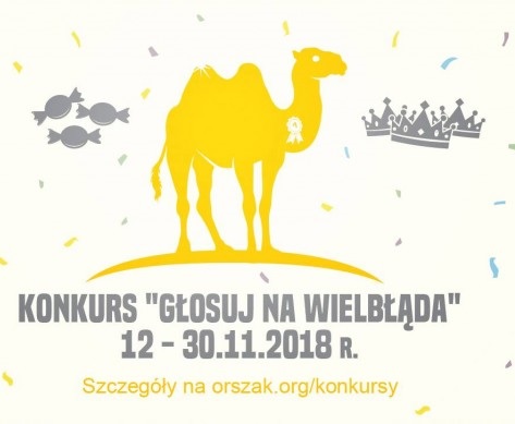 wielbłąd